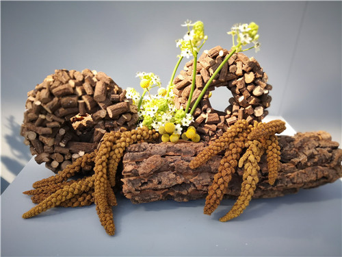 國內外花藝大師同臺獻藝 秦皇島舉辦國際插花藝術展