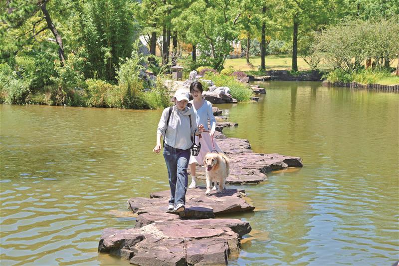 公園綠地如何“人寵雙向友好”?
