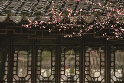 蘇州園林的暗藏密碼